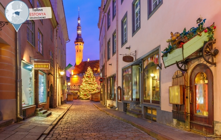 tallinn_ucak_bileti-8